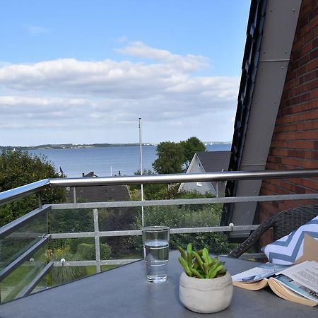 Ostsehbutzen Glücksburg Quarto foto
